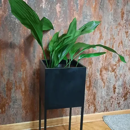 Stan Na Dan D Lux Jacuzzi