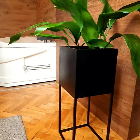 Stan Na Dan D Lux Jacuzzi * 克拉古耶瓦茨