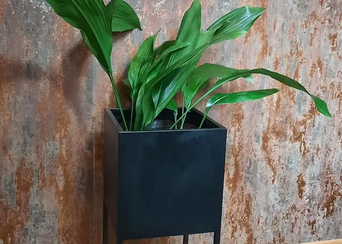 Stan Na Dan D Lux Jacuzzi