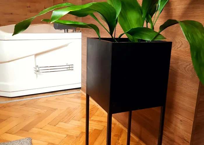 Stan Na Dan D Lux Jacuzzi * Kragujevac